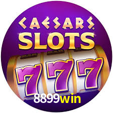 8899win