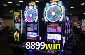 8899win App Interface
