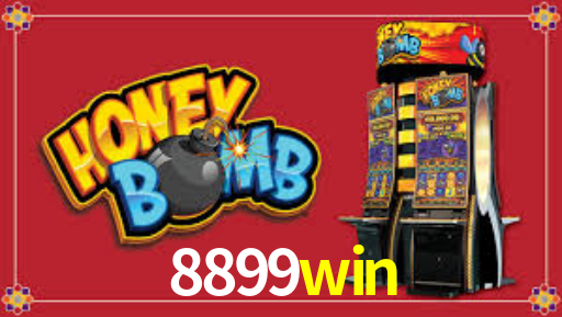 8899win